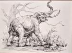 Walker, Jordan K: Columbian Mammoth